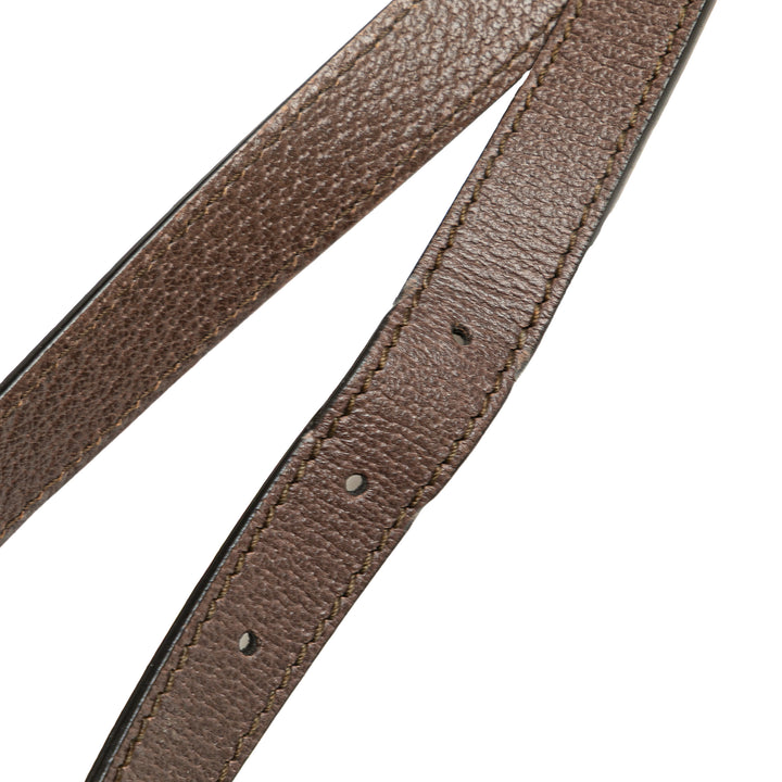 Medium GG Supreme Ophidia Crossbody Brown - Gaby Paris