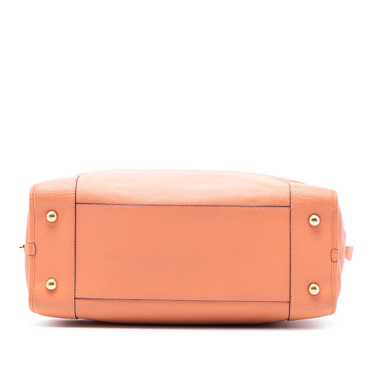 LOEWE Édition limitée Cuir Bull Charm Amazona 36