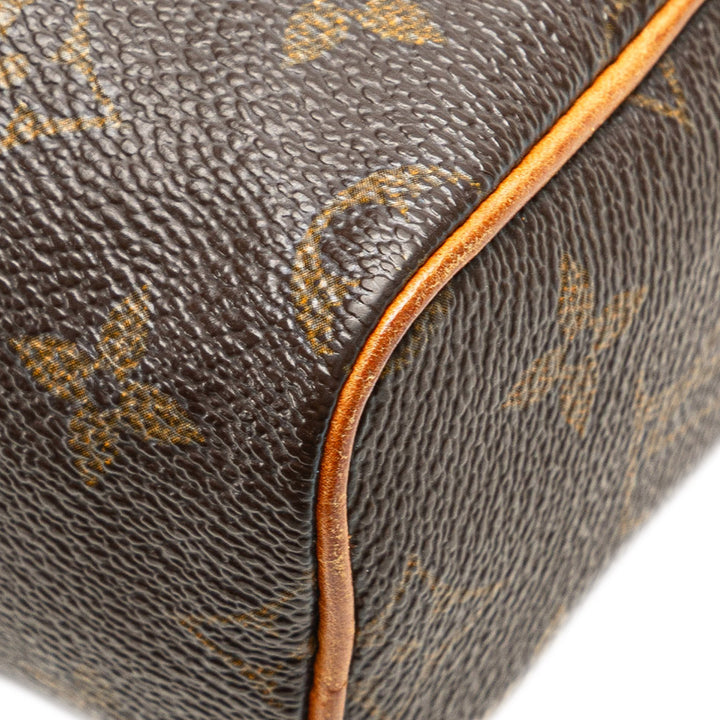 Monogram Nano Speedy Bandouliere Brown - Gaby Paris