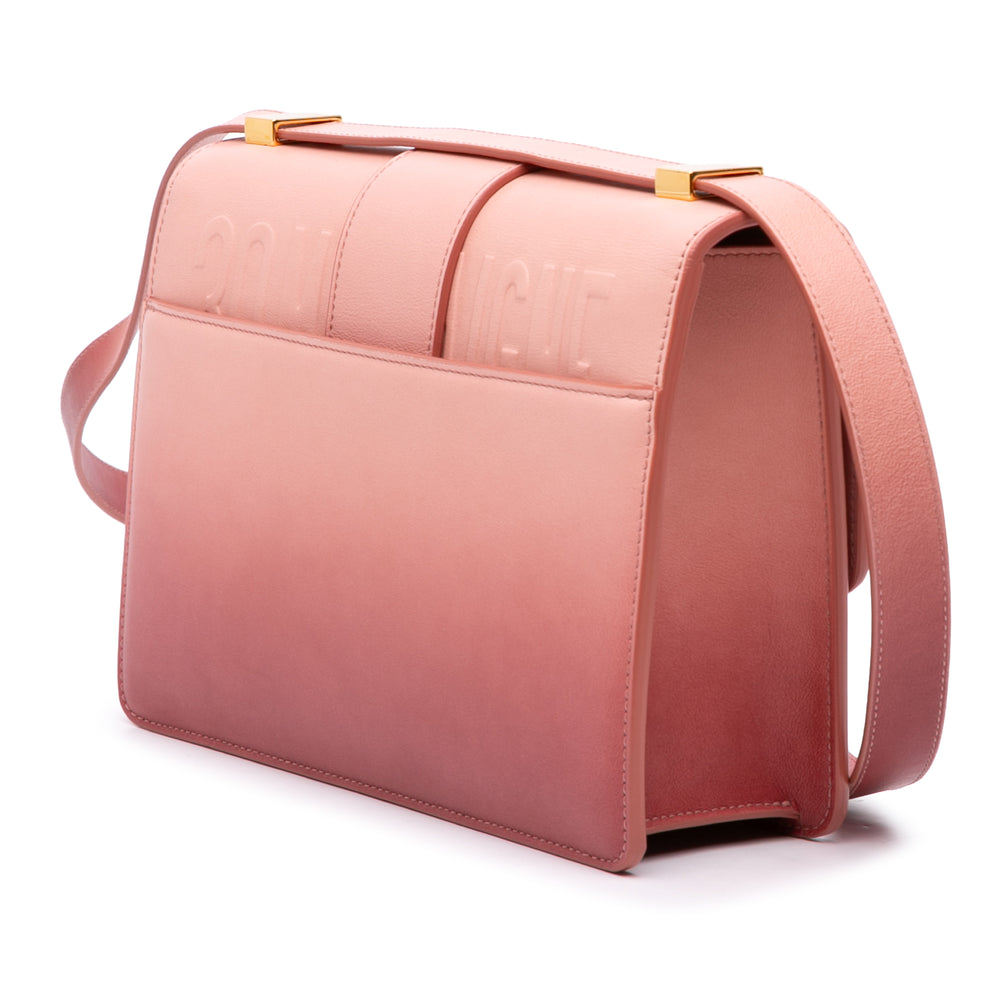 Dior Sac bandoulière Ombre 30 Montaigne boîte Cuir de veau Rose – vue 2 – GABY PARIS