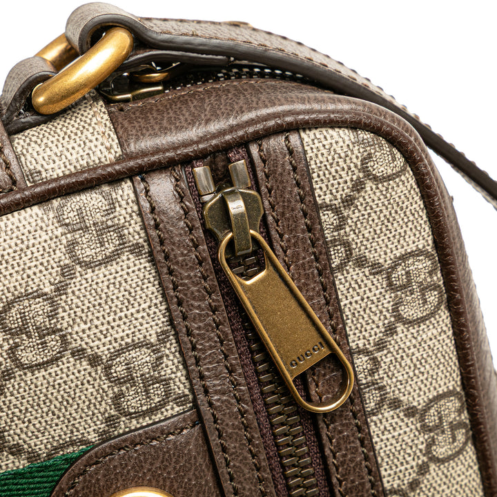 Mini GG Supreme Ophidia Crossbody Brown - Gaby Paris