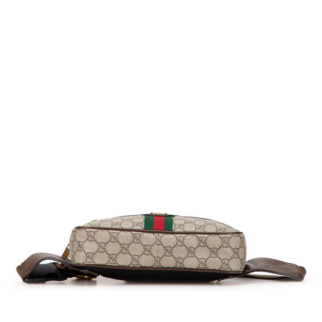 Small GG Supreme Ophidia Belt Bag Brown - Gaby Paris