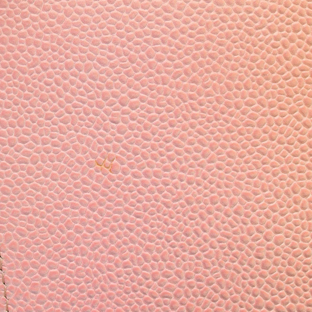 Old Medium Quilted Caviar Rainbow Boy Flap Pink - Gaby Paris