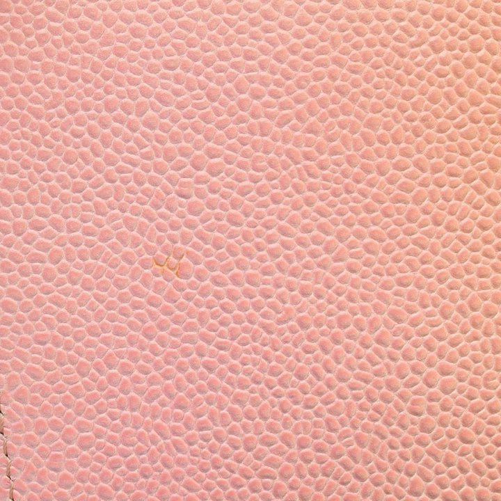 Old Medium Quilted Caviar Rainbow Boy Flap Pink - Gaby Paris