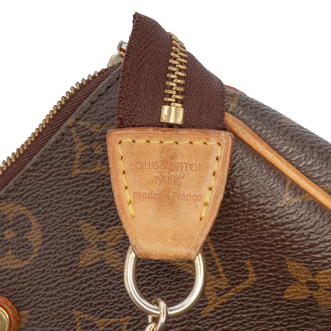 Louis Vuitton Monogram Eva