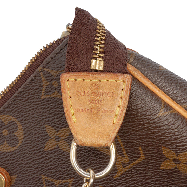 Louis Vuitton Monogram Eva