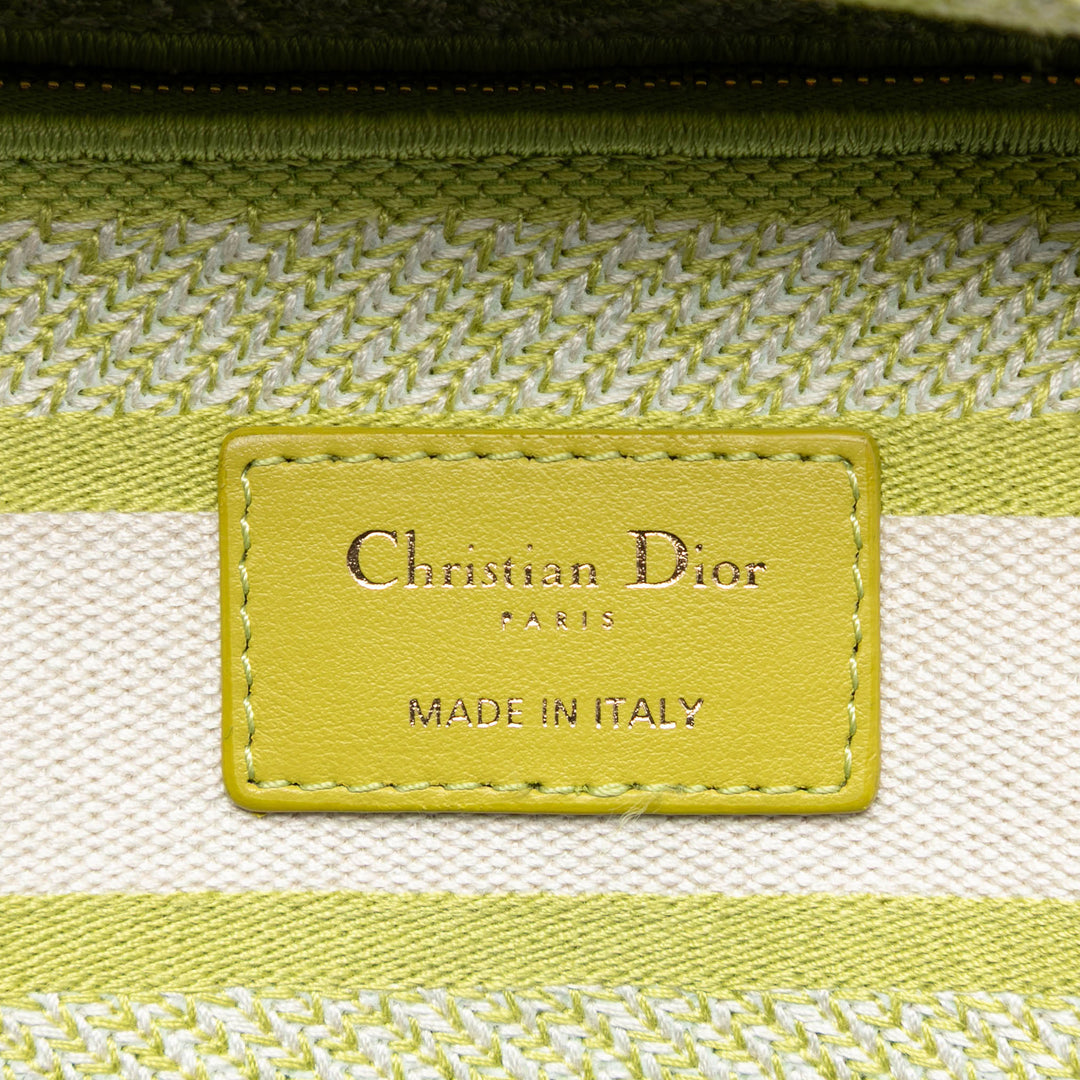 Dior Medium brodé Toile Toile de Jouy Lady D Lite
