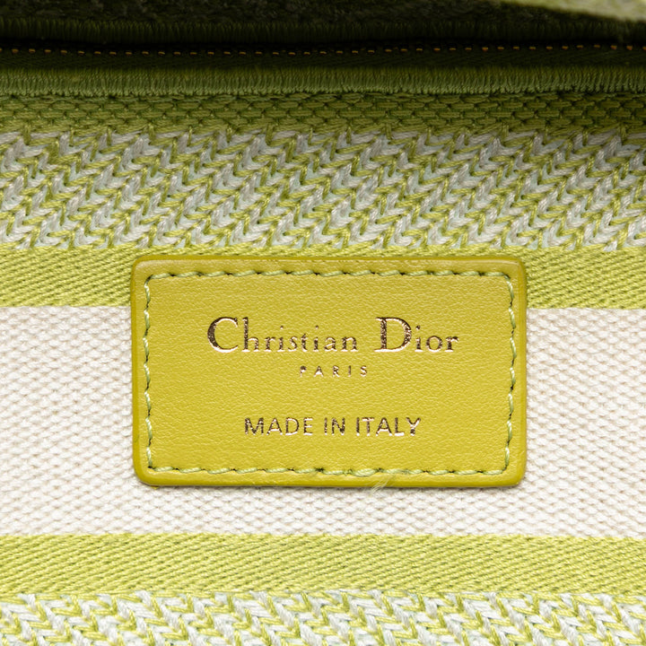 Dior Medium brodé Toile Toile de Jouy Lady D Lite