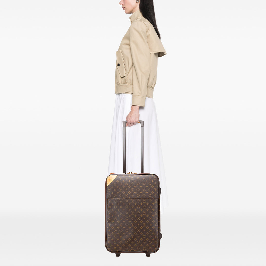 Monogram Pegase 55 Brown - Gaby Paris