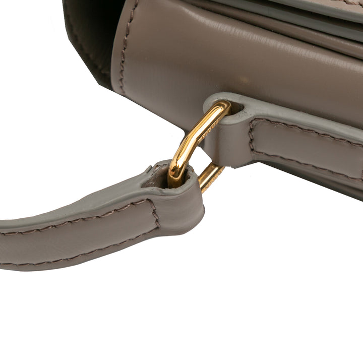 Celine Teen Shiny Cuir de veau Triomphe Sac porté croisé Marron – GABY PARIS Authentique