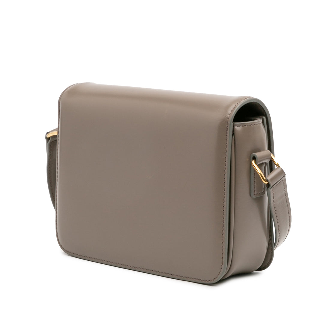 Celine Teen Shiny Cuir de veau Triomphe Sac porté croisé Marron – GABY PARIS Authentique