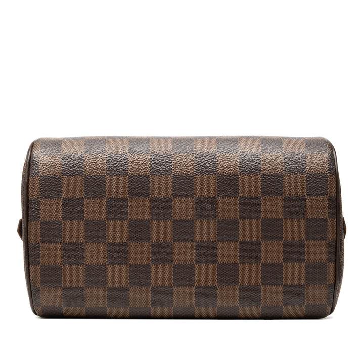 Ribera Mini Damier Ébène Marron