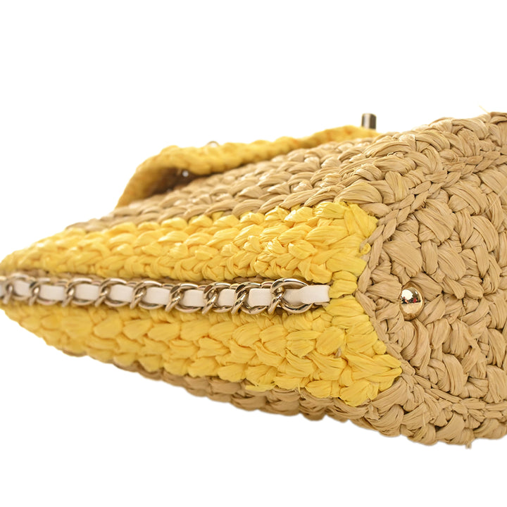 Chanel Raffia Venice Beach Basket à rabat