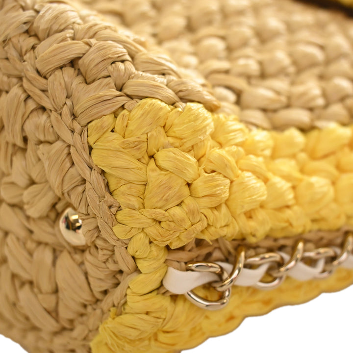 Chanel Raffia Venice Beach Basket à rabat