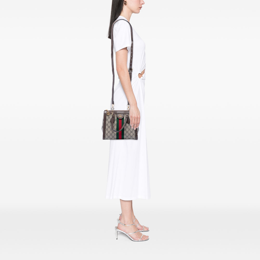 Gucci Small GG Supreme Ophidia Sac