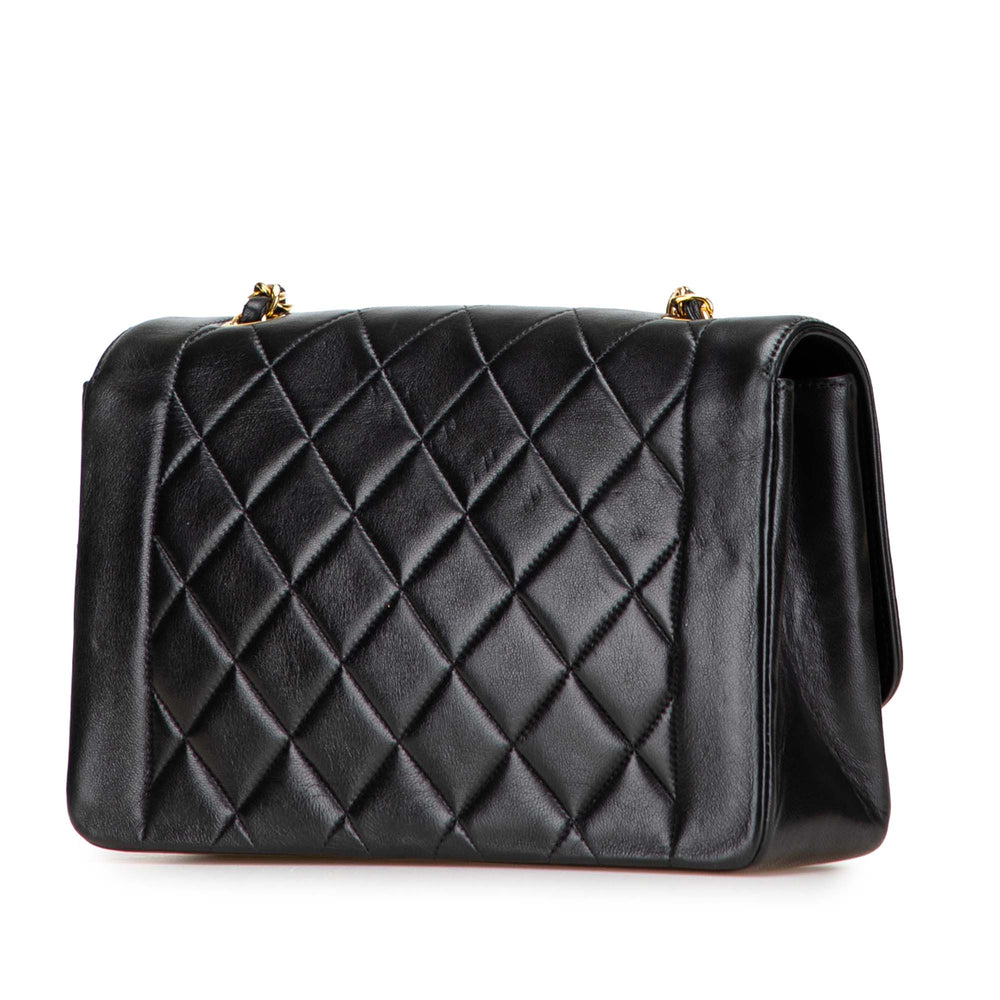 Chanel Medium Cuir d’agneau Diana Flap Noir – GABY PARIS Authentique