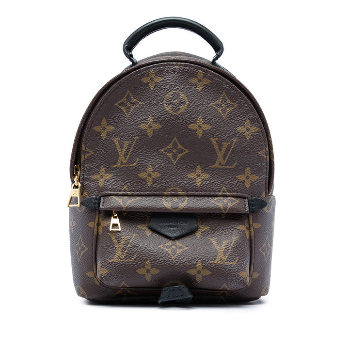 Louis Vuitton Monogram Mini Palm Springs