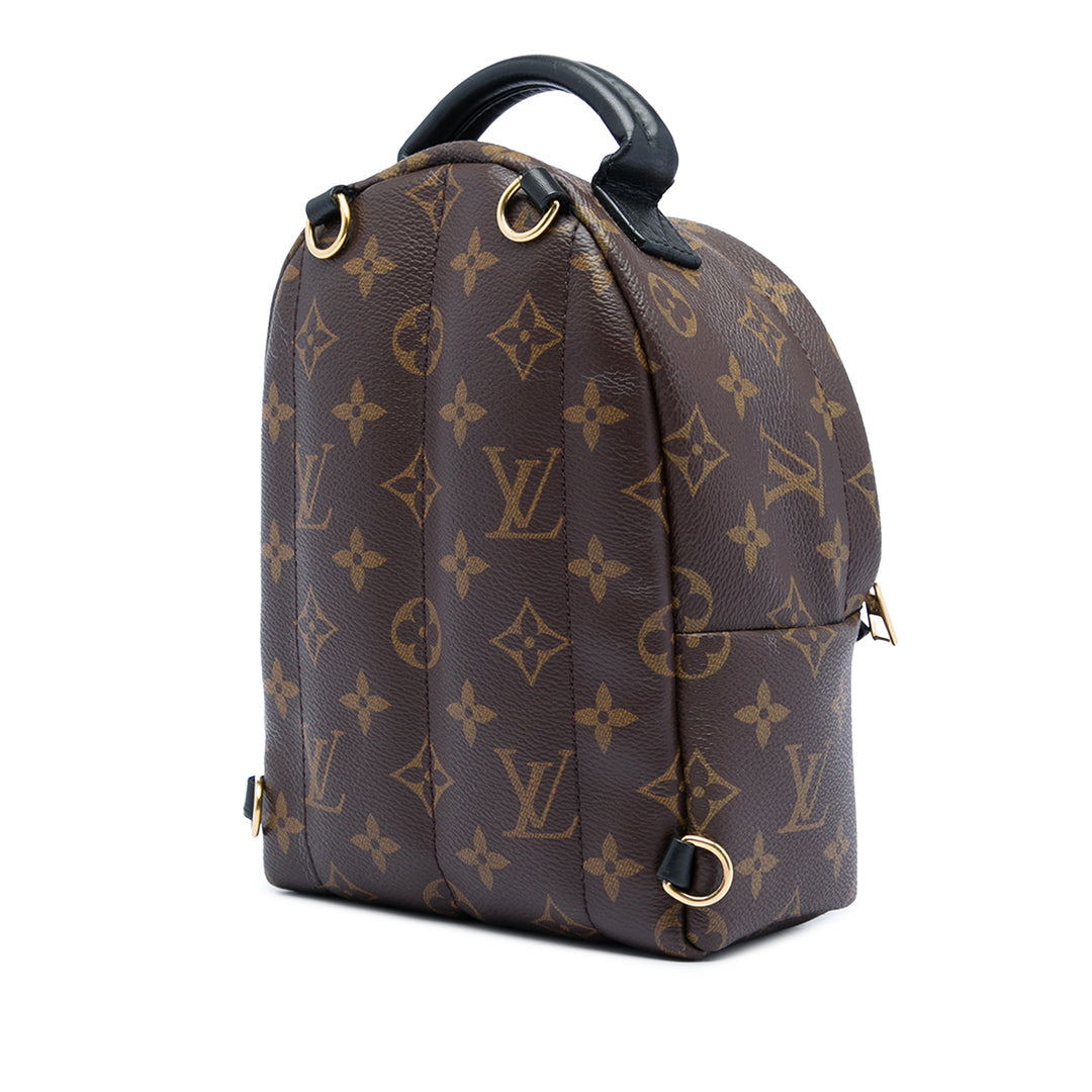 Louis Vuitton Monogram Mini Palm Springs