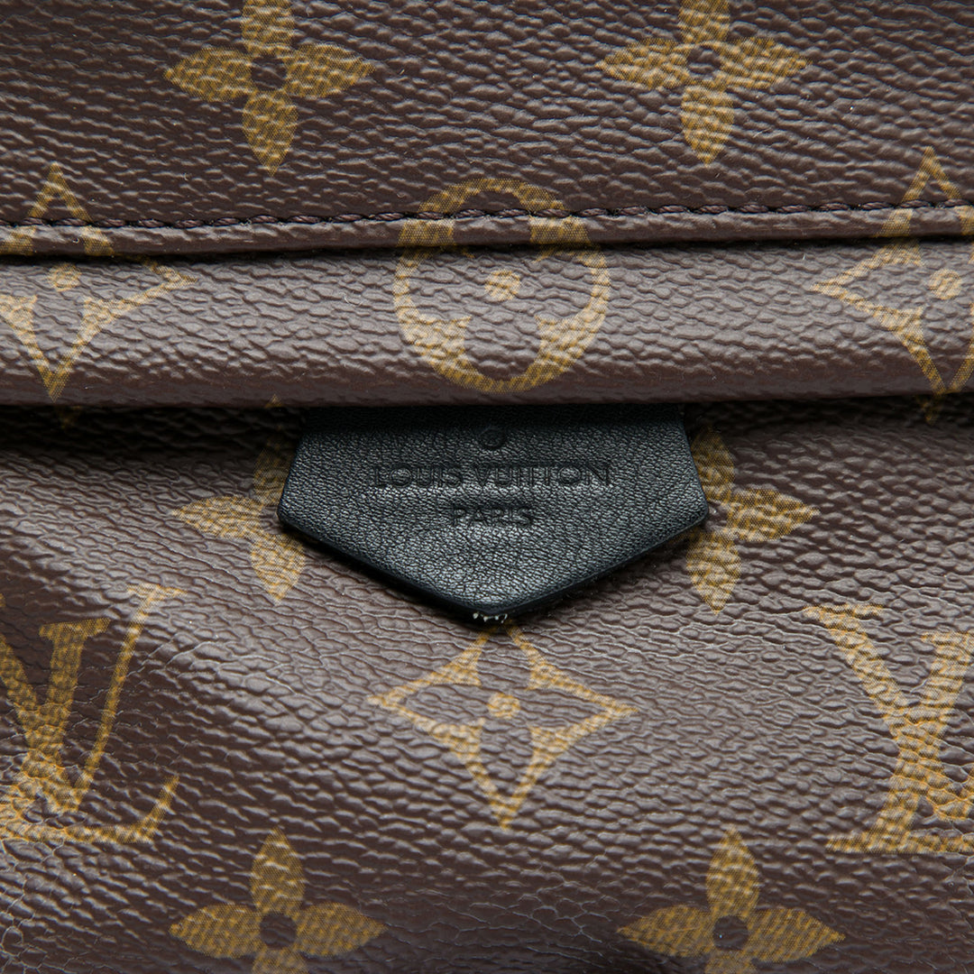 Louis Vuitton Monogram Mini Palm Springs