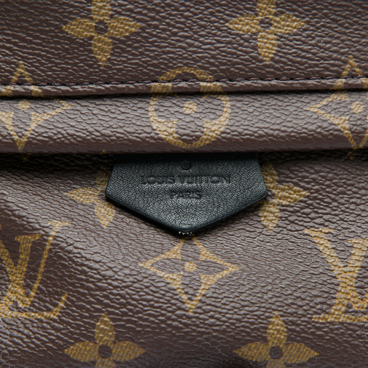 Louis Vuitton Monogram Mini Palm Springs