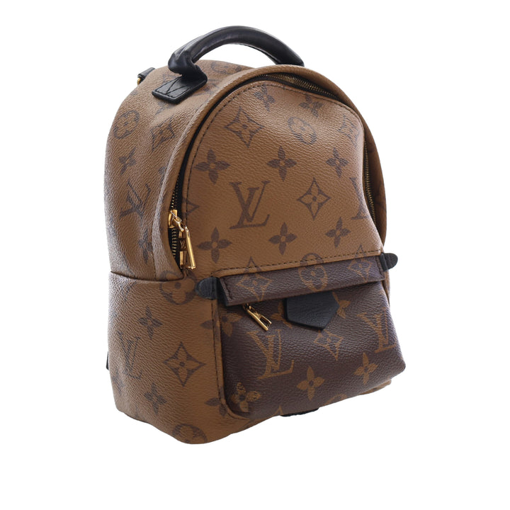 Louis Vuitton Monogram Reverse Mini Palm Springs