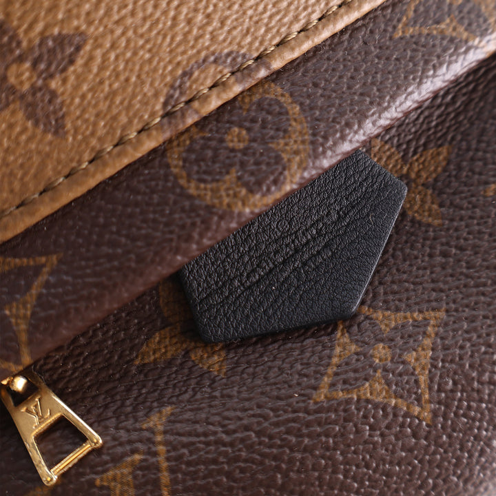 Louis Vuitton Monogram Reverse Mini Palm Springs