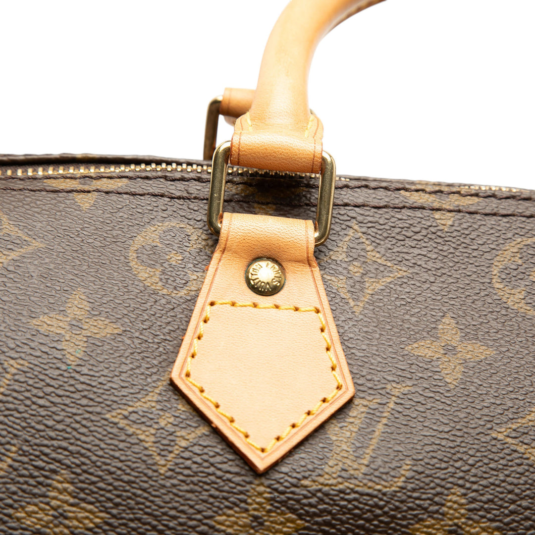 Louis Vuitton Speedy 30 Monogram Marron
