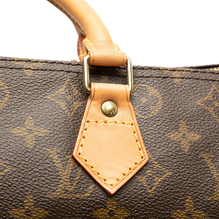 Louis Vuitton Speedy 30 Monogram Marron