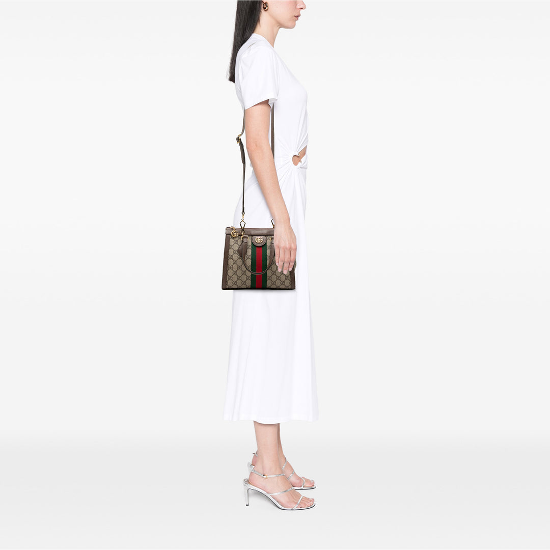 Gucci Small GG Supreme Ophidia Sac