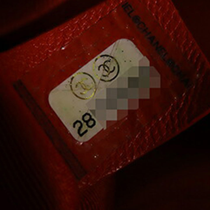 Chanel Medium Cuir d’agneau 19 à rabat – GABY PARIS Authentique