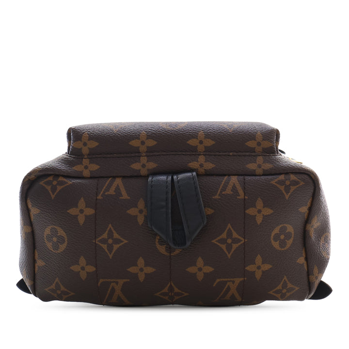 Palm Springs PM Monogram Marron