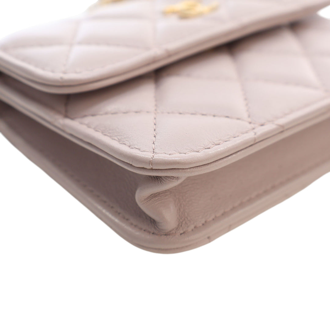 Perle Crush Pochette avec chaîne Mini Cuir d'agneau Rose