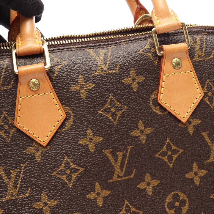 Alma PM Monogram Marron