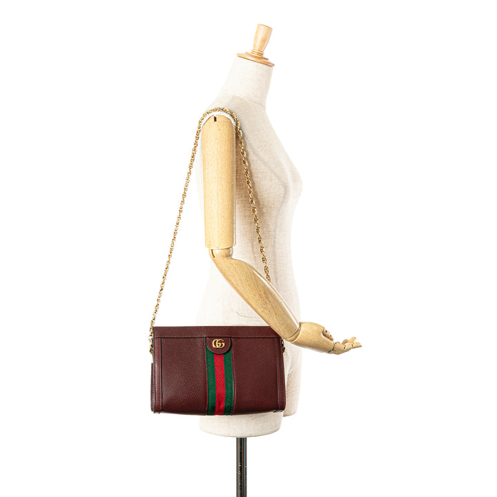 Small Calfskin Ophidia Chain Crossbody Red - Gaby Paris