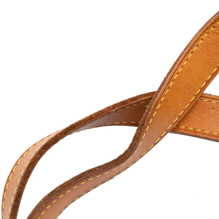 Monogram Palermo PM Brown - Gaby Paris