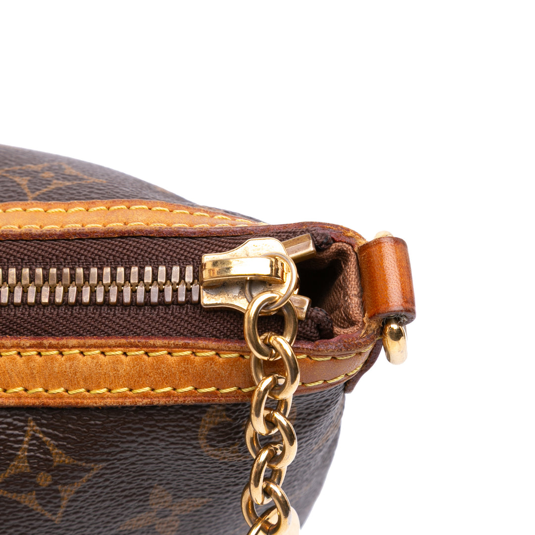 Monogram Palermo PM Brown - Gaby Paris