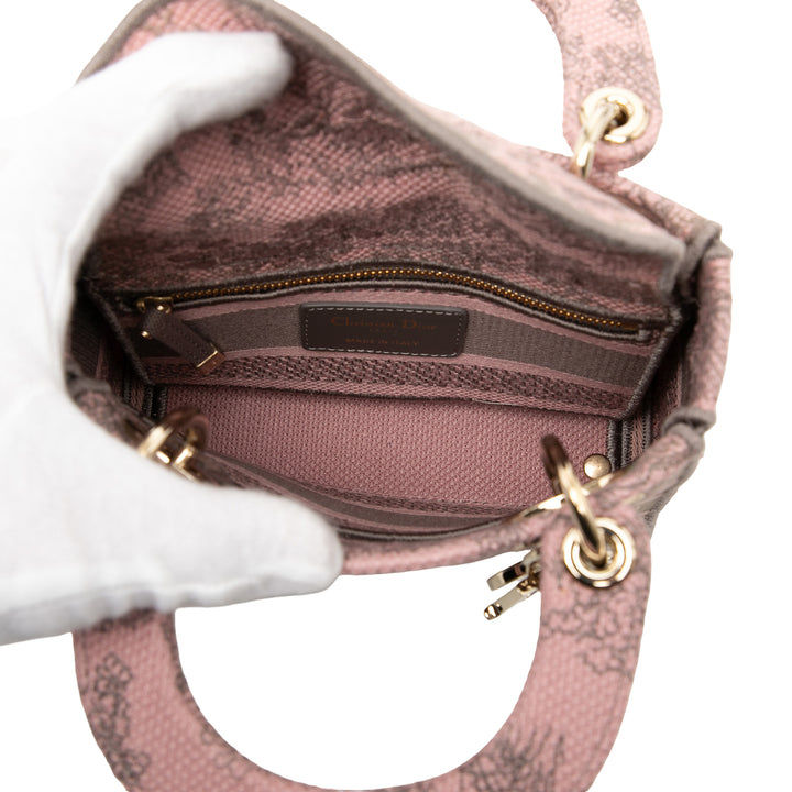Dior Mini brodé Toile Toile De Jouy Lady D Lite