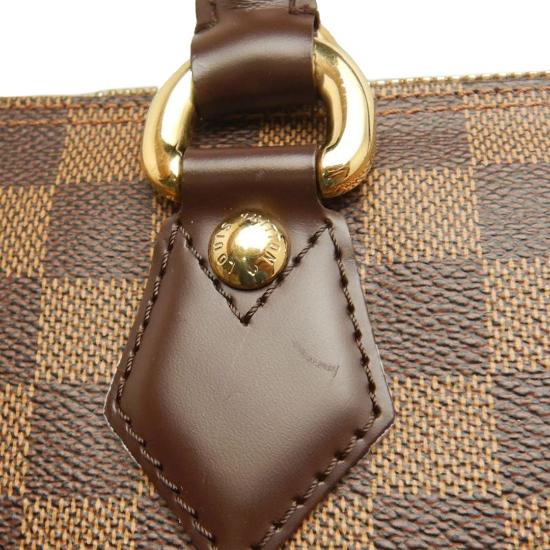 Louis Vuitton Damier Ebene Saleya MM