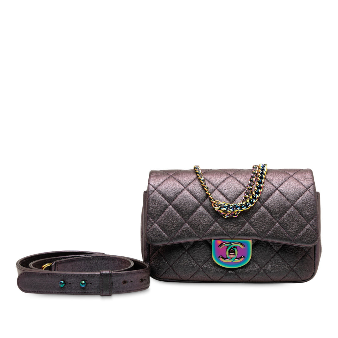 Chanel Small Iridescent Goatskin Rainbow Hardware Double Carry Waist Chain Flap Violet – GABY PARIS Authentique