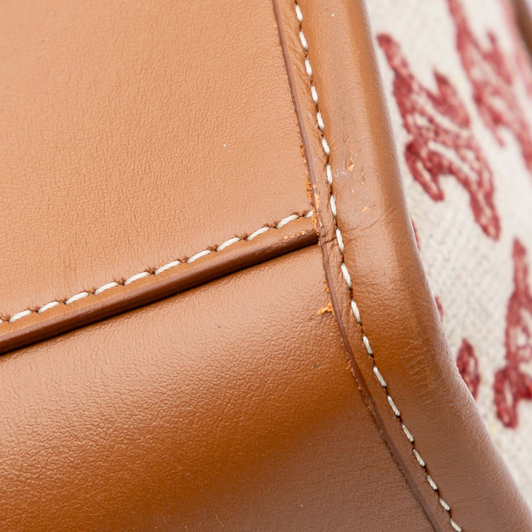 Triomphe Embroidered Canvas Horizontal Cabas Brown - Gaby Paris