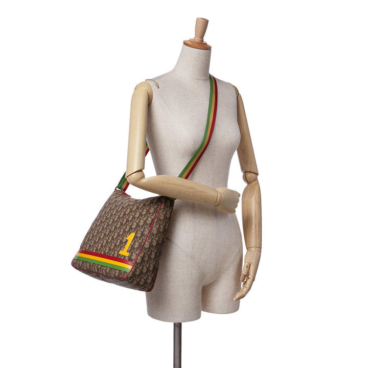 Diorissimo Trotter Coated Canvas Rasta Crossbody Brown - Gaby Paris