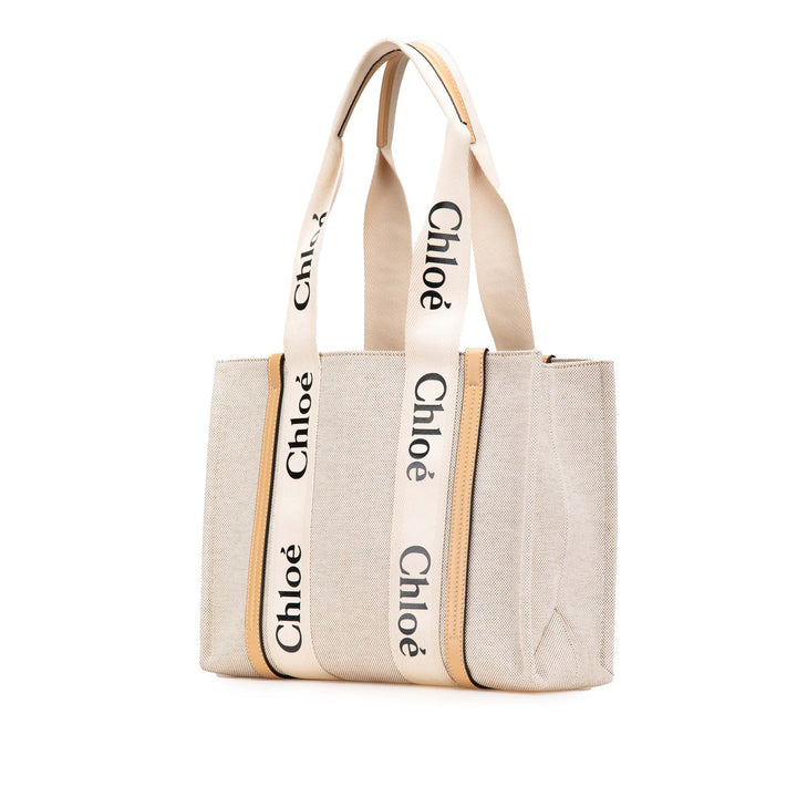Medium Canvas Woody Tote Brown - Gaby Paris
