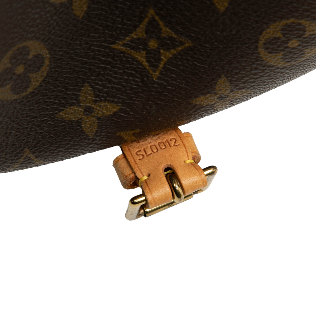 Louis Vuitton Monogram Sologne