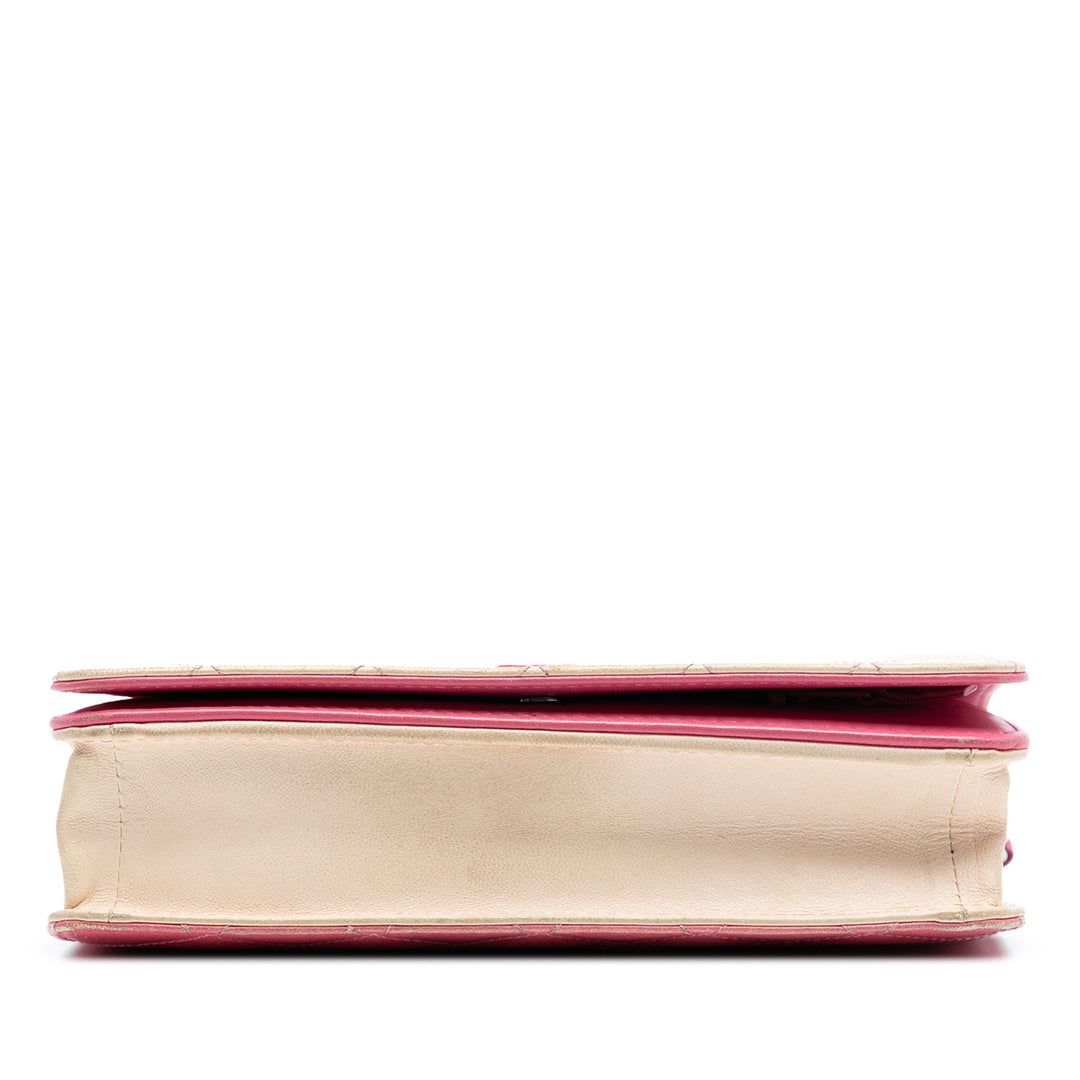 Chanel Ombre Cuir d’agneau Degrade Wallet on Chain