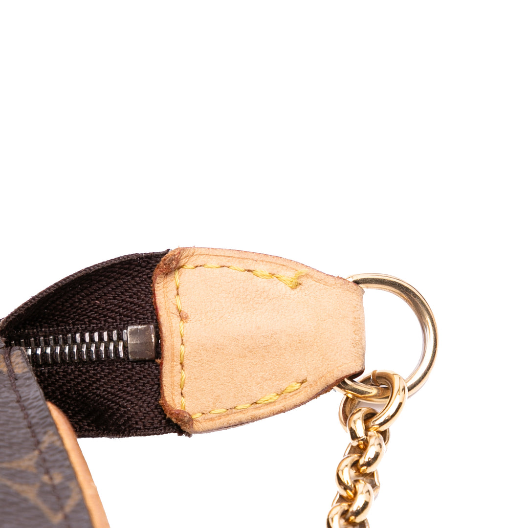 Louis Vuitton Monogram Eva Marron