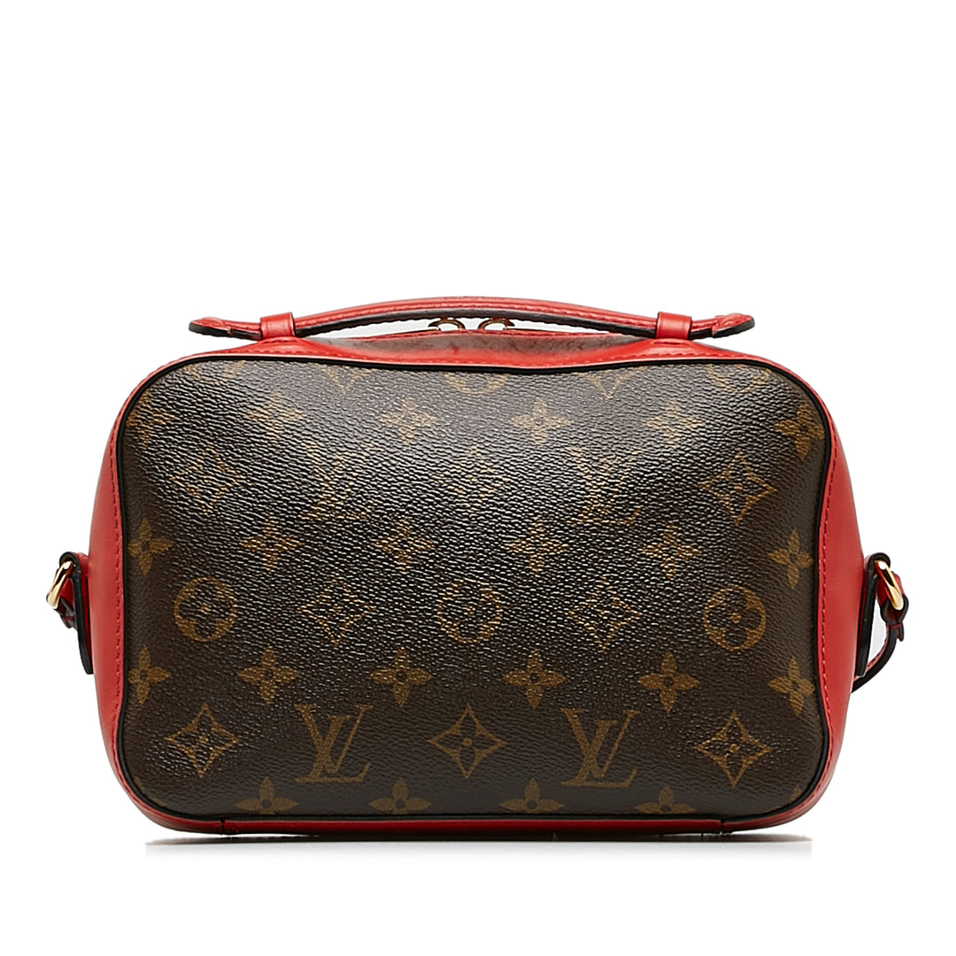 Monogram Saintonge Brown - Gaby Paris