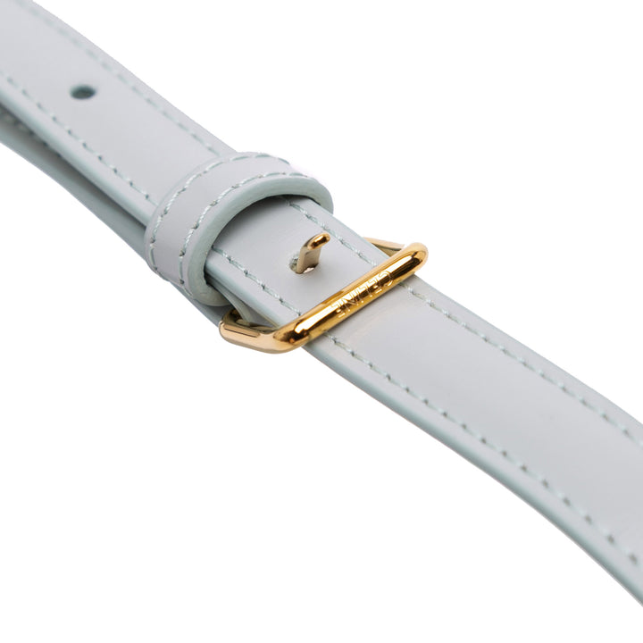 Celine Shiny Cuir de veau Claude Sac bandoulière Gris – GABY PARIS Authentique