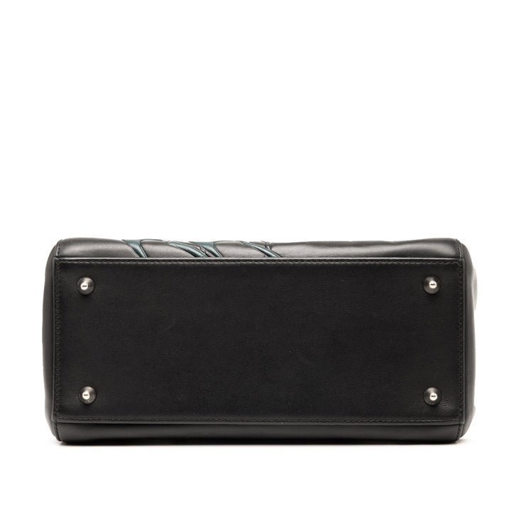 Dior Medium Cuir de veau Paradise Lady Dior Noir