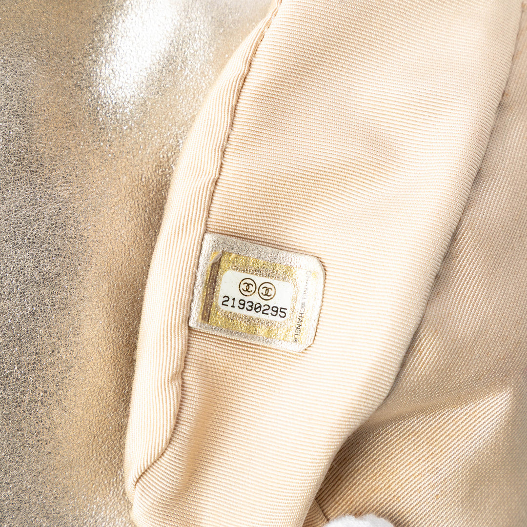 Chanel Small Metallic Cuir d’agneau In Seoul Sac à dos