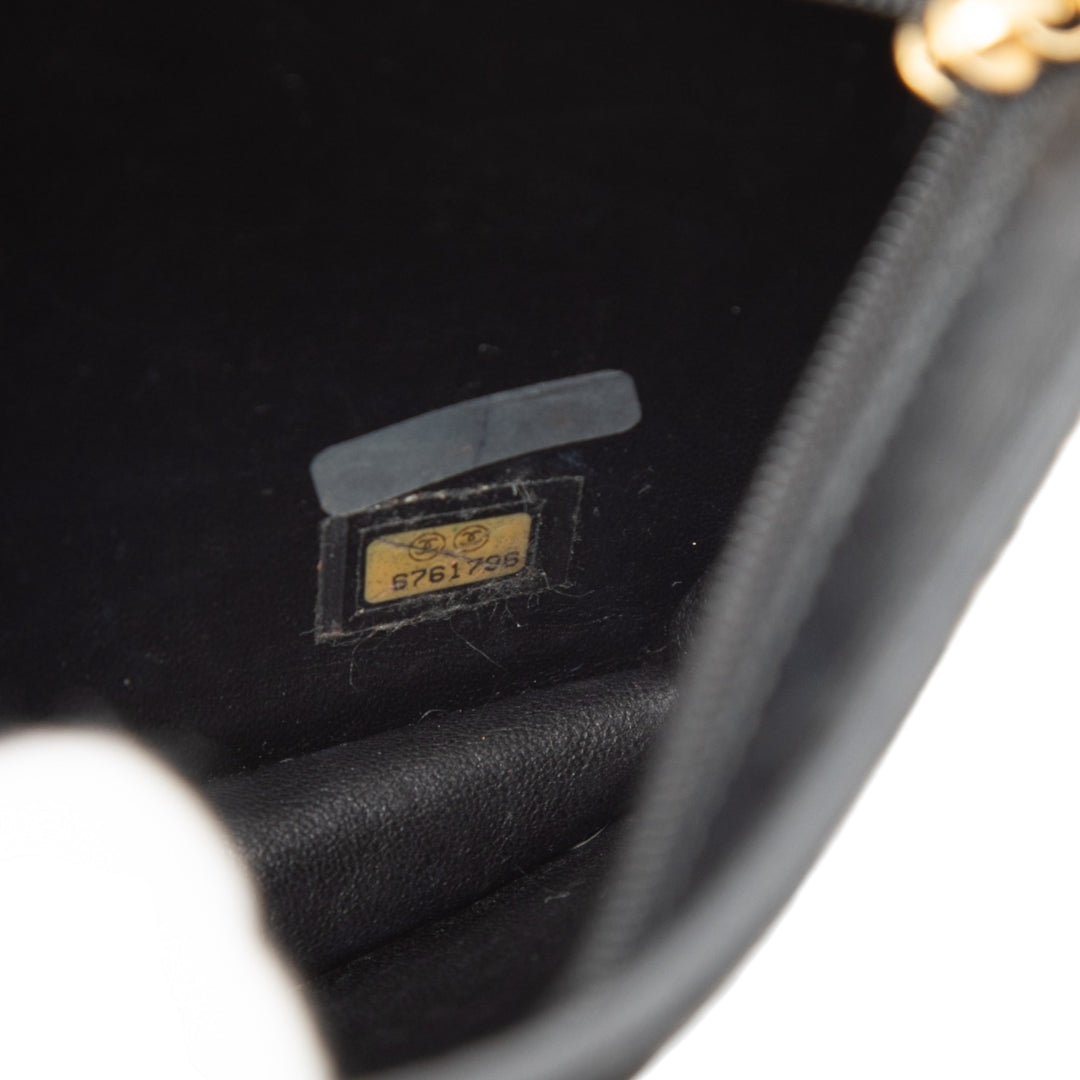 Chanel Coco Pony Hair Pochette